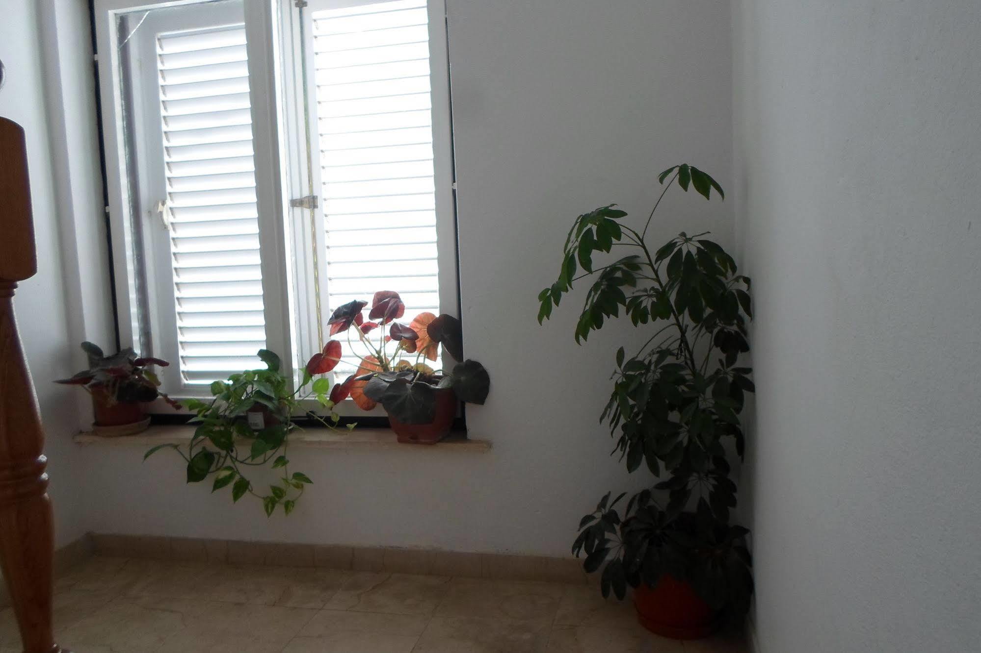 Pansion Lovac Guesthouset Cavtat