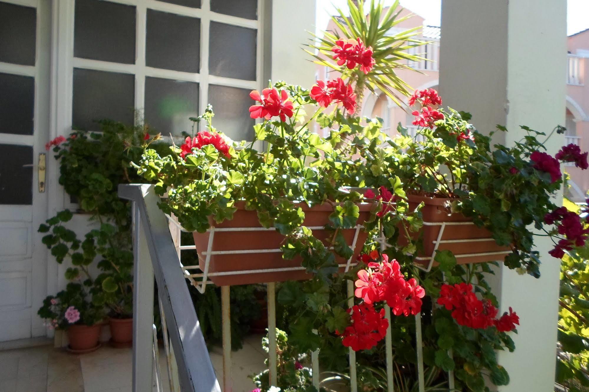 Pansion Lovac Guesthouset 3*