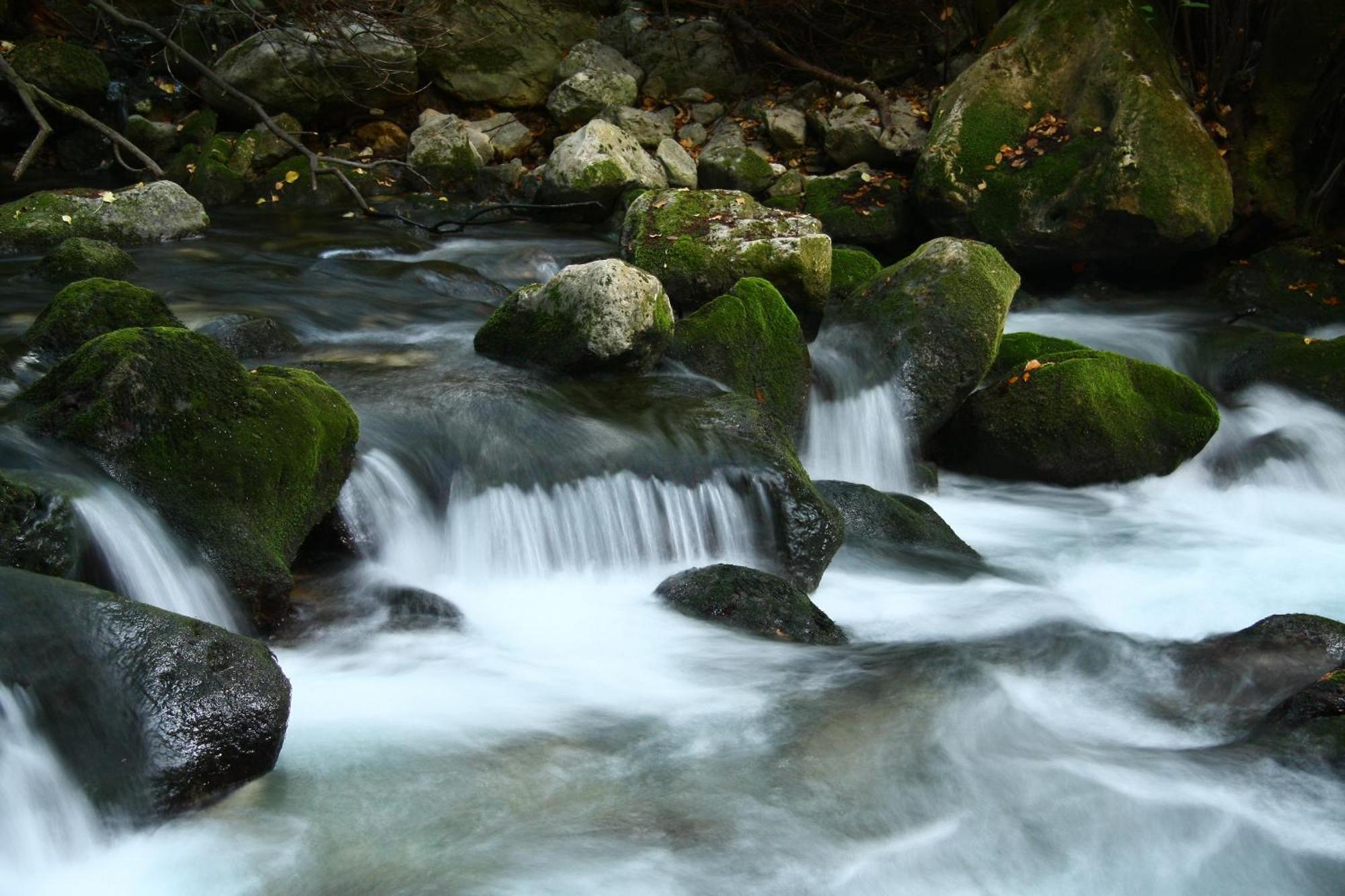 Gostinjska kuća Pansion Lovac